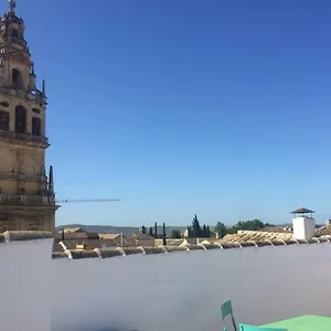  Apartment Entre 2 Mezquitas Apartamento 8